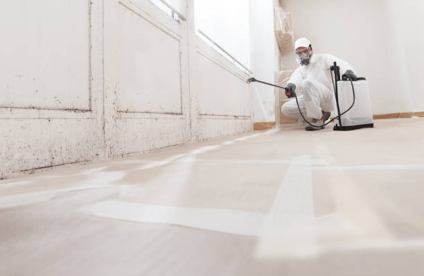 24/7 Emergency Mold Cleanup experts in Broadway, VA